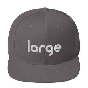 Large Music Snapback Hat