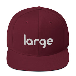 Large Music Snapback Hat